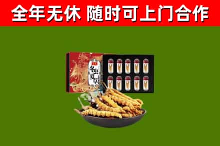 岭东回收冬虫夏草价格